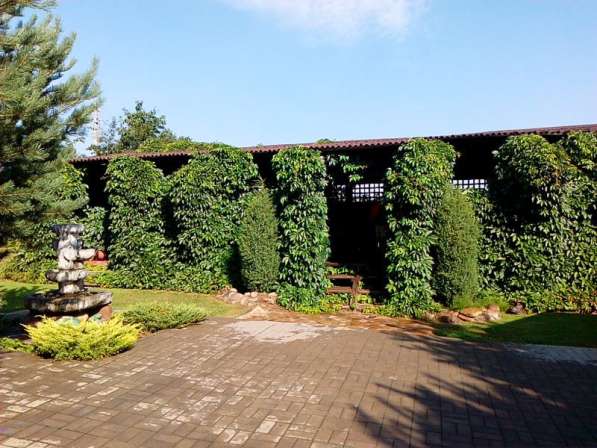 Агроусадьба под Минском на ЧМ в фото 16