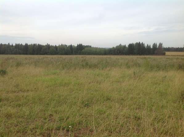 Земельный участок в центре района перспективной застройки в Ижевске фото 5