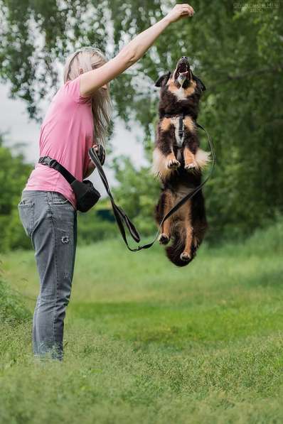 Чудо-собачка Фиби ищет семью в Москве фото 21