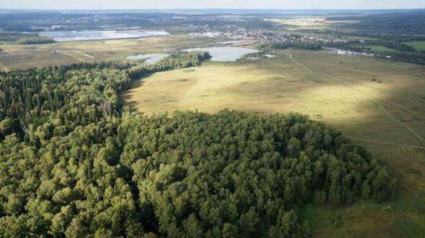 Земли пром на первой линии Ленинградского шоссе (М10) в Зеленограде фото 6