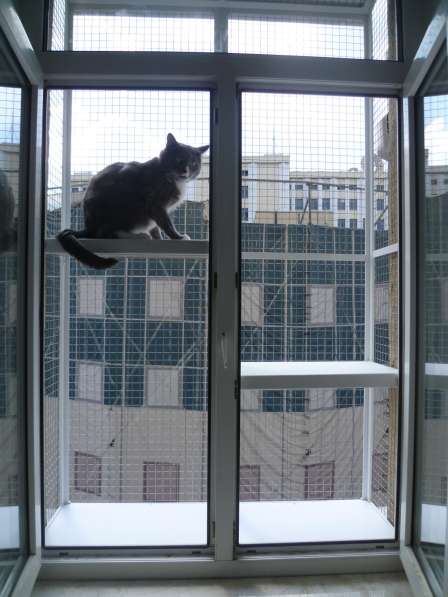 Антикошка сетки и выгулы на окна в Москве фото 10