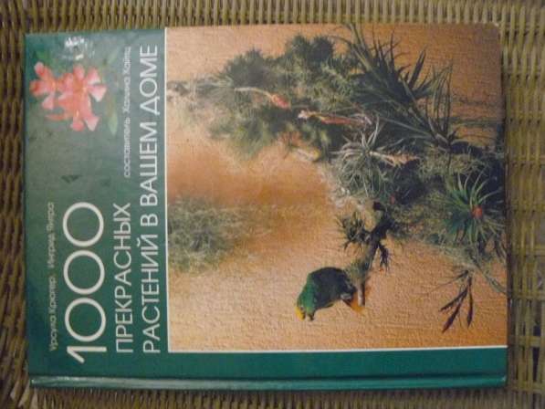 Книга 1000 прекрасных растений в вашем доме