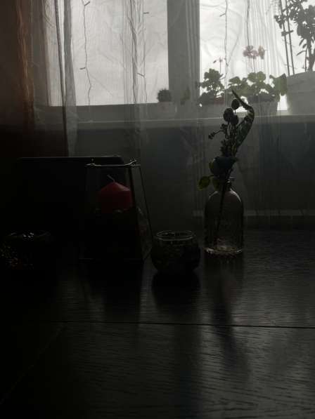 Кинолог - зоопсихолог в Мытищи фото 6