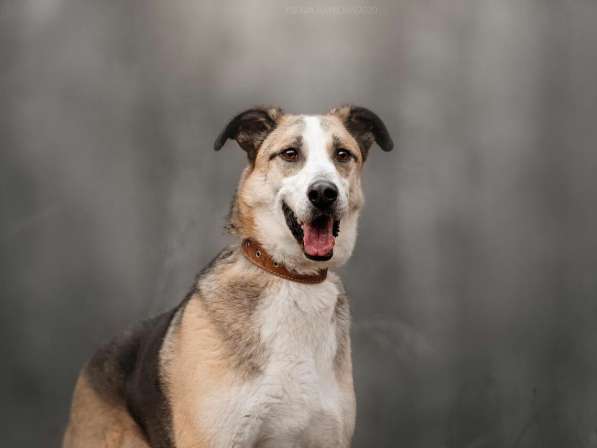 Молодой энергичный Майор ищет семью в Москве фото 45