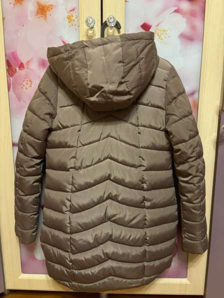 Куртка женская в Санкт-Петербурге