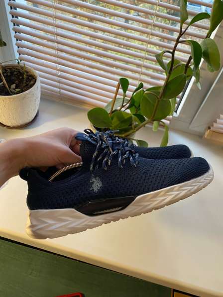 Кроссовки U. S Polo в фото 3