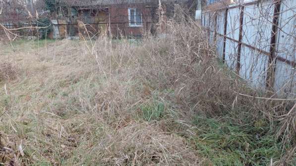 Расчистка участков в Краснодаре