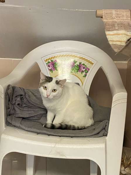 Ищет Дом в Вологде