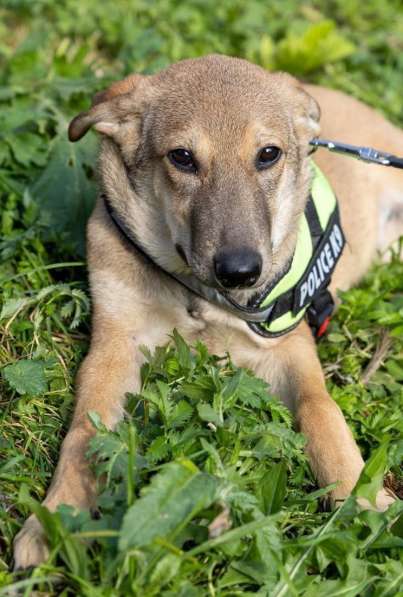 Сироте Марселю нужен дом в Москве фото 12