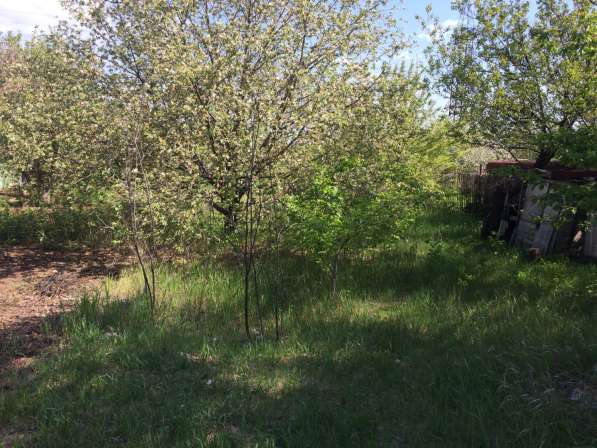 Продам приватизированный земельный участок в Луганске в фото 11