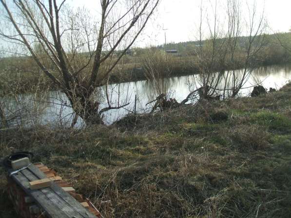 Продается дом у реки и участок 24 сотки в Алтайском крае в Барнауле фото 7