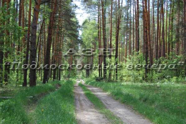 realty_mapper3.plot_in_locationСадовое некоммерческое тов-во. Площадь 15.00 сот.Есть Электричество. в Москве фото 19