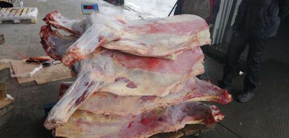 Мясо говядина в Челябинске фото 3