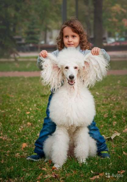Новогодняя и Рождественская фотосессия с реквизитом в Москве фото 9