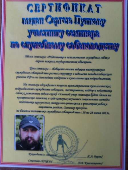 Дрессировка собак в Барнауле фото 5