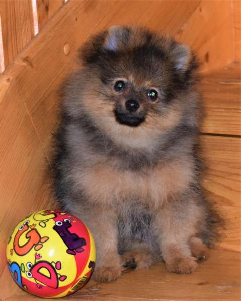 Очаровашка в Одинцово фото 14