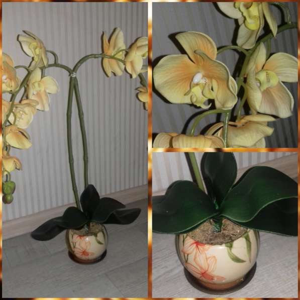 Орхидея -фаленопсис интерьерная композиция в Улан-Удэ
