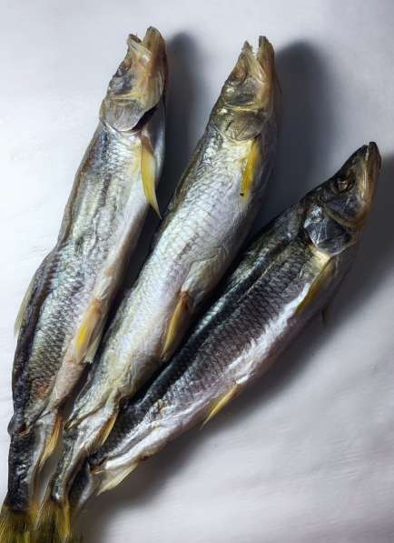 Вяленая и копченая рыба оптом в Пятигорске фото 3