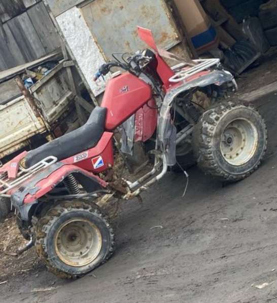 Квадроцикл зид тарпан