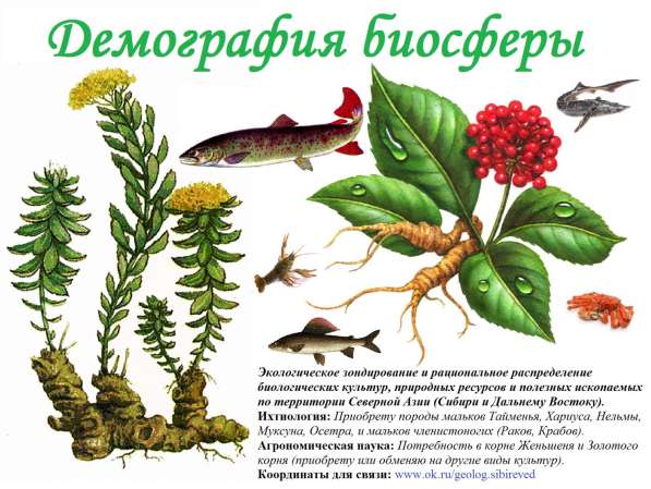 Таёжник - подрядчик к вашим услугам в Томске
