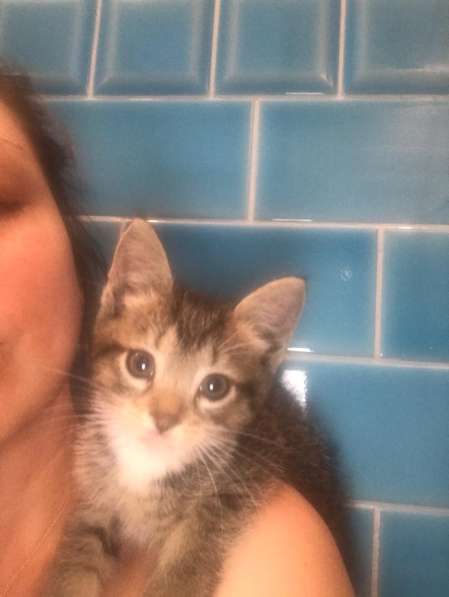 Срочно нужен в Москве