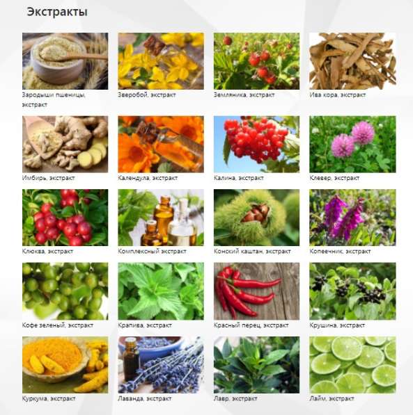 Растительные экстракты, красители, масла, Фитодистилляты в Великом Новгороде фото 9