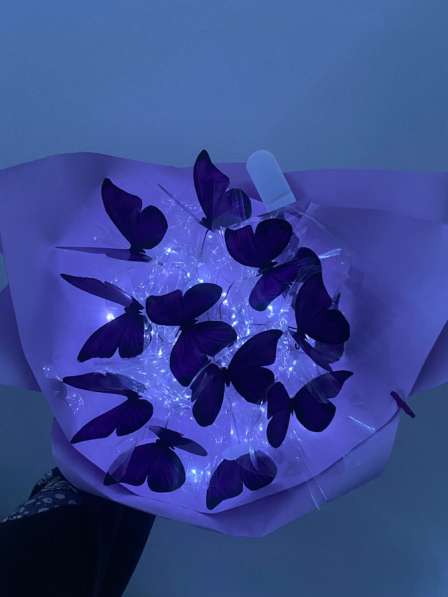 Светящийся букет из бабочек в Крымске