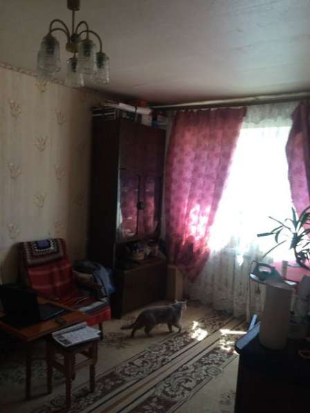 Продам 2-х комнатную квартиру 47,1 кв. м, на 2-ом этаже в Егорьевске фото 10