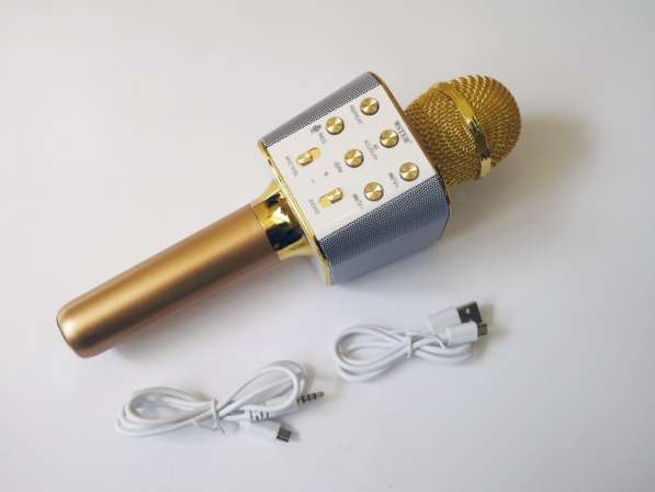Микрофон Wster WS-1688 USB, microSD, AUX, Bluetooth, REC в фото 3