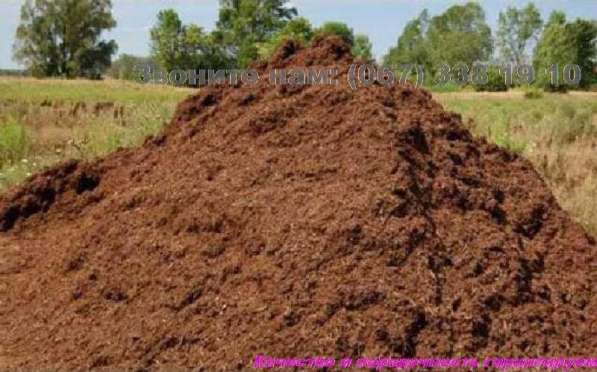 Перегной в Москве