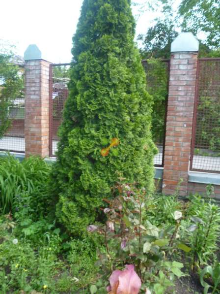 Продам дом в Ростов-на-Дону.Жилая площадь 208 кв.м. в Ростове-на-Дону фото 24