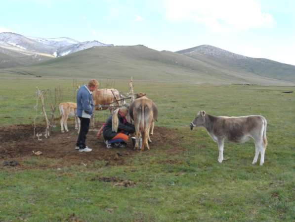 Guide, driver in Kyrgyzstan, travel, hiking, excursions в 