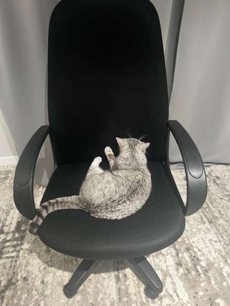 Кресло офисное в Барнауле