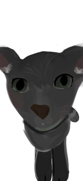 Рисую ваших питомцев (пример сверху)