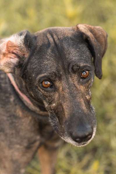 Люся ищет свою вселенную! в Москве