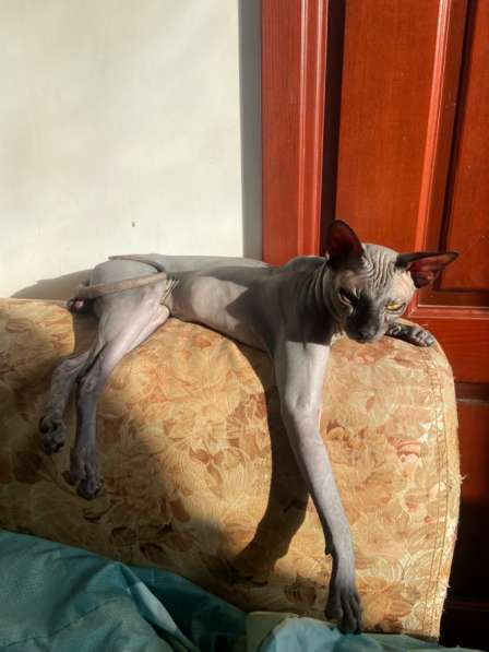 Вязка в Ростове-на-Дону