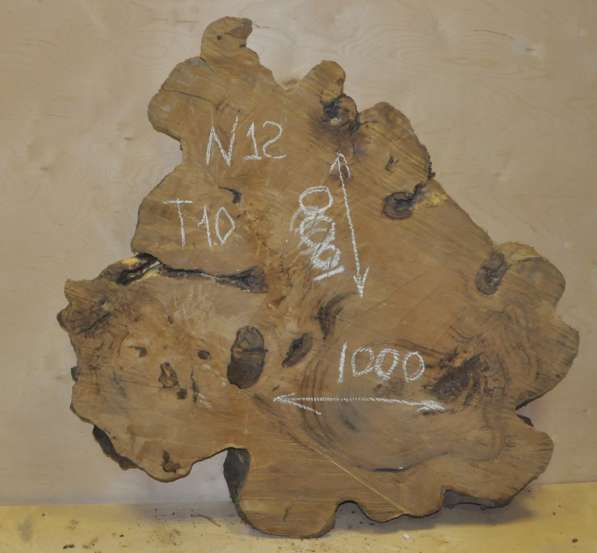 Каштан слэб в Москве