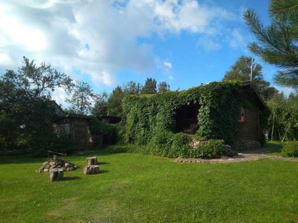 Агроусадьба под Минском на ЧМ в фото 9