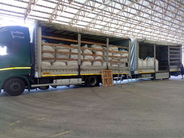 Требуются зерновозы для перевозки сельхоз продукции в Славянске-на-Кубани
