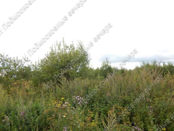 realty_mapper3.plot_in_locationСадовое некоммерческое тов-во. Площадь 10.00 сот.Есть Электричество. в Москве фото 9