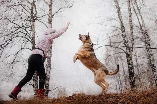 Большой добрый Борман ищет семью в Москве фото 25