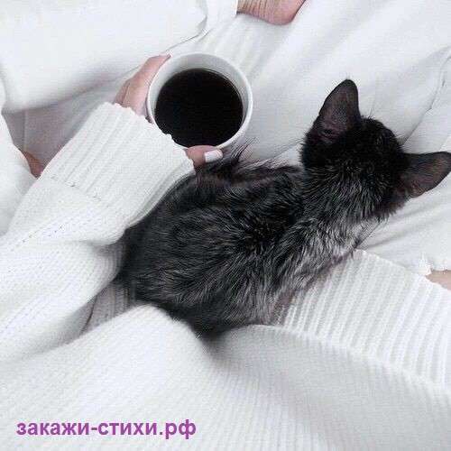 Креативные стихи на заказ в Уфе