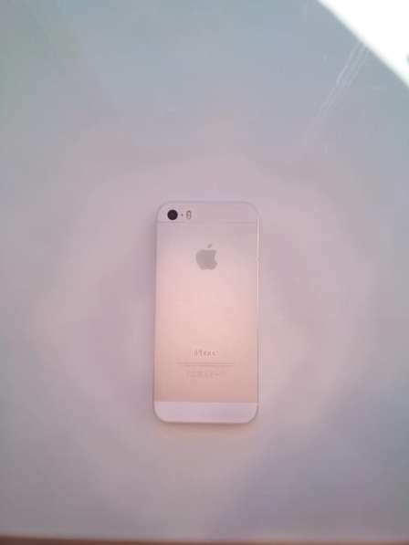 Apple iPhone 5S в Тобольске фото 4
