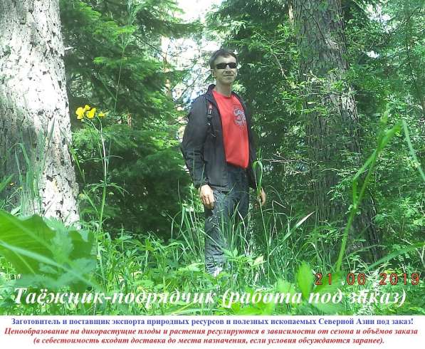 Таёжник - подрядчик к вашим услугам в Томске фото 4