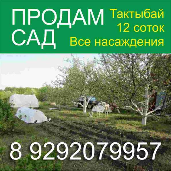 Продам сад