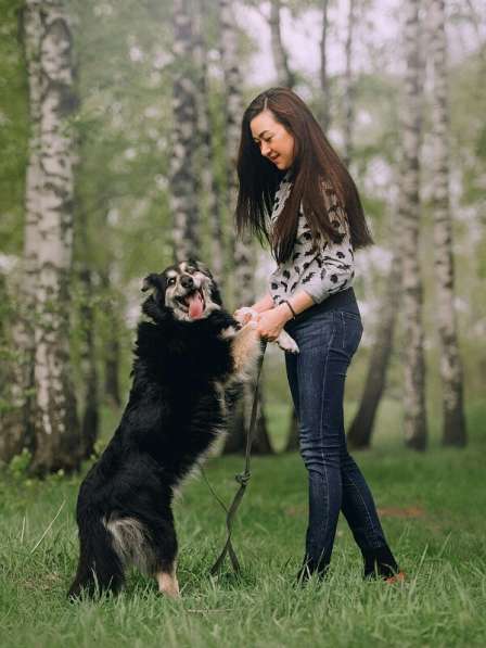 Пушистая весёлая Дакота ищет семью в Москве фото 47