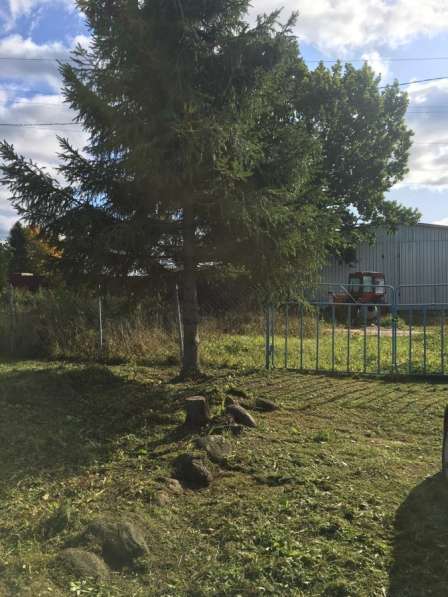 Частная земля в Санкт-Петербурге фото 11