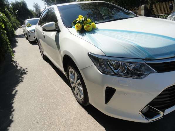 Данко - кортеж - авто на свадьбу, украшения для машин прокат в Волгограде фото 4