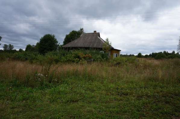 Бревенчатый дом в тихой деревне, недалеко от речки в Ярославле фото 13