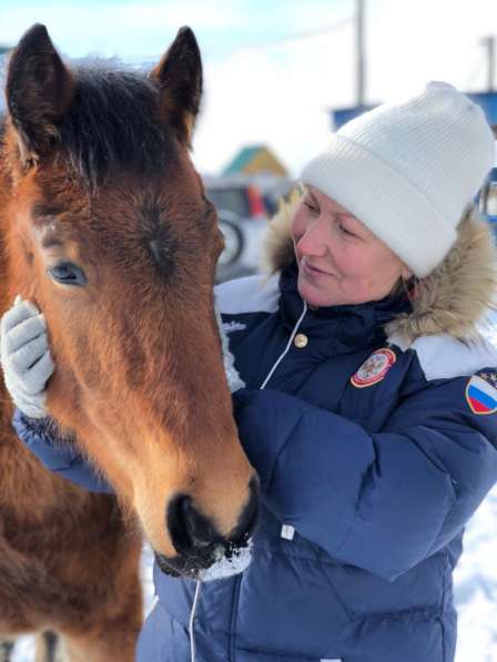 Конная прогулка в Красноярске фото 29